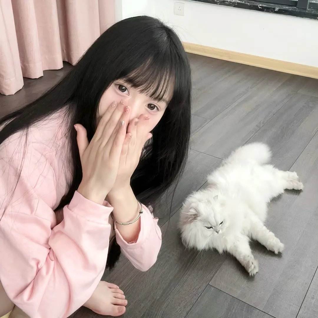 第19分部